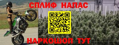 амф Кунгур