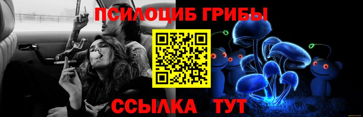 Псилоцибиновые грибы Psilocybe  Вход с VPN  Псилоцибиновые грибы ЛСД  что такое   Бирск 